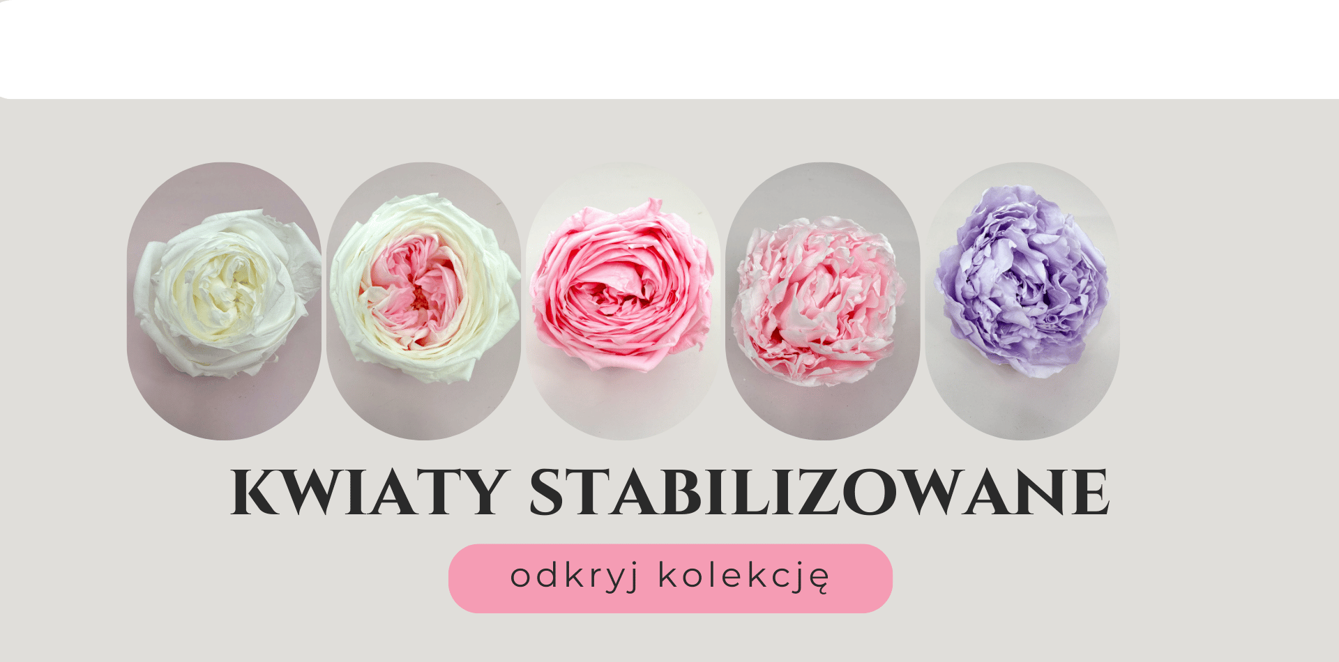 Stabilizowane róże