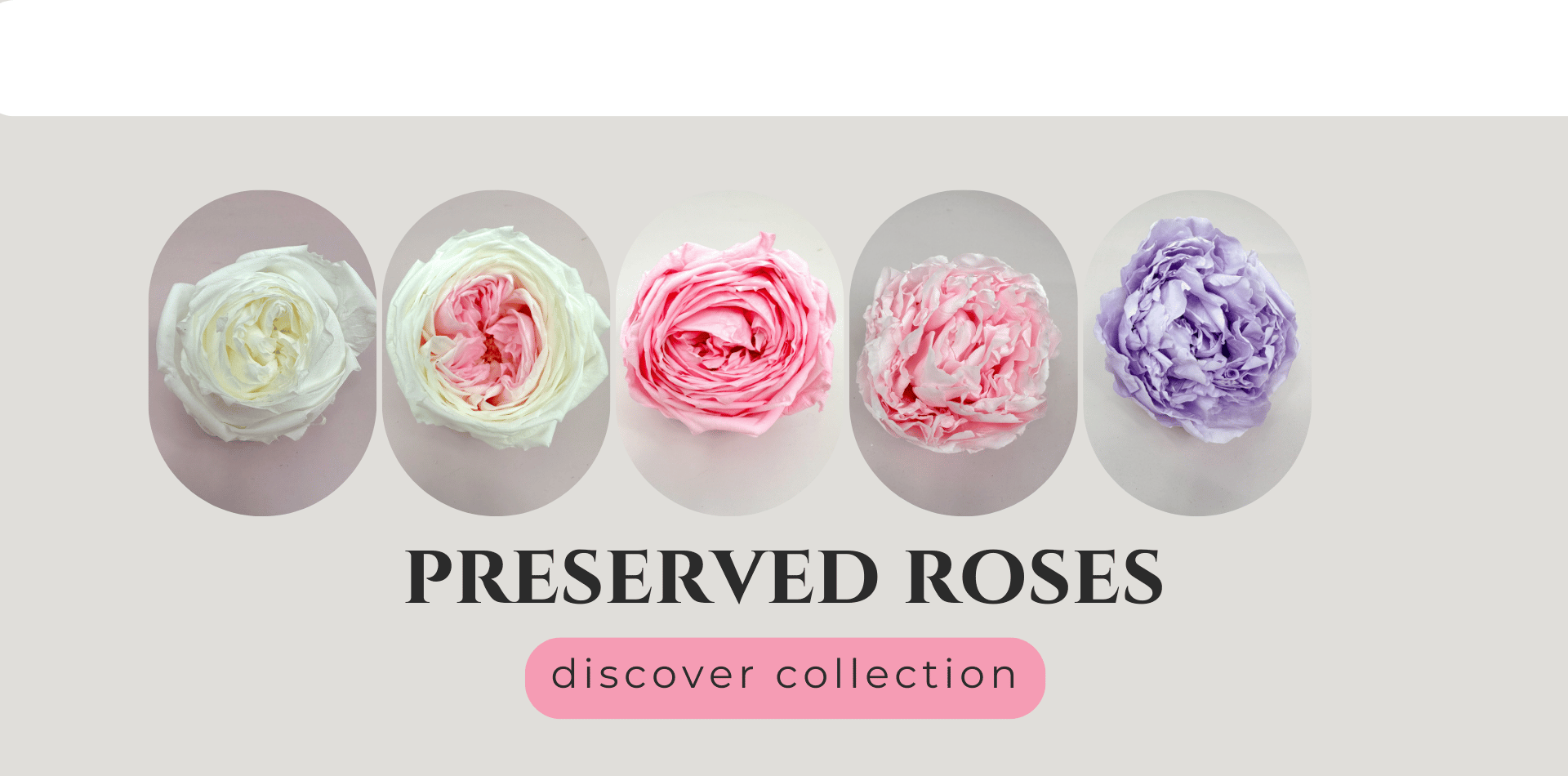 Preserved roses