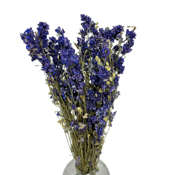 Dried blue holly (delphinium) - dried flowers