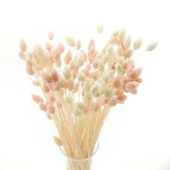 Set of dried grasses phalaris light pinka & phalaris bleached- bouquet