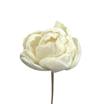 Shola flower - white peony 6cm on stick