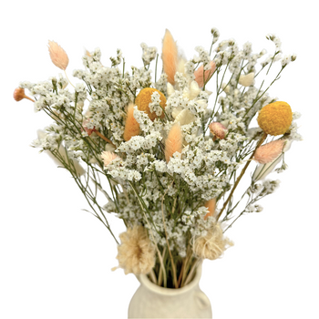 Set of dried flowers Ivory - limonium, lagurus, craspedia