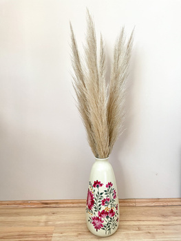 Pampas grass dried natural 1