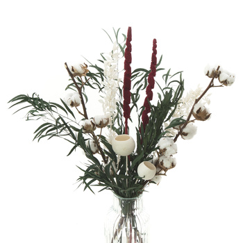 Set of dried flowers Winter Garden - cotton, babala, ruskus