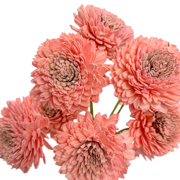 Shola flower - pink zinnia rose 8cm on stick