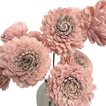 Shola flower - light pink zinnia rose 8cm on stick