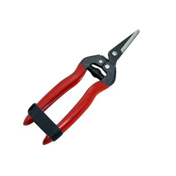 Scissor shears for flowers