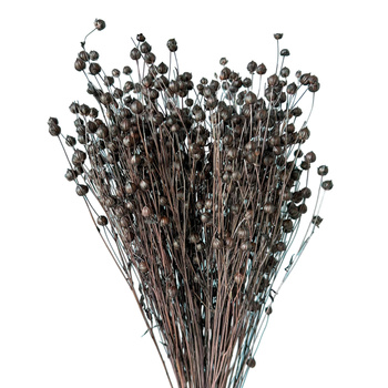 Flax brown 90g - dried flowers