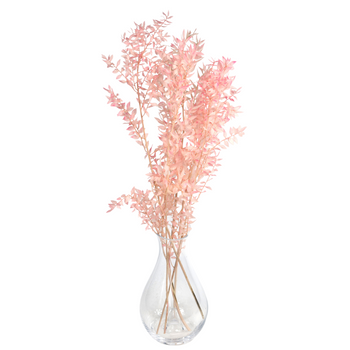 Dried light pink ruscus 5 sprigs