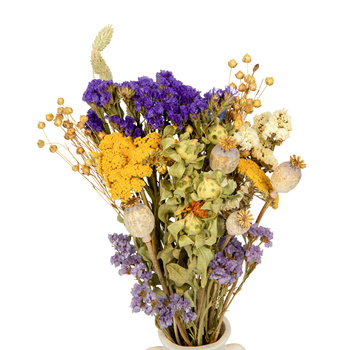 Set of dried flowers for vase - poppy, statice, achillea