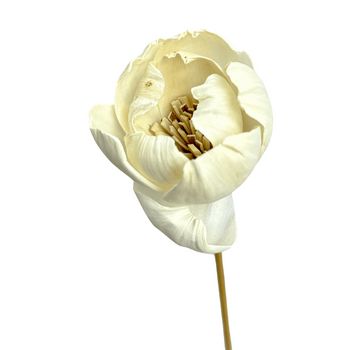 Shola flower - white magnolia 6cm on stick