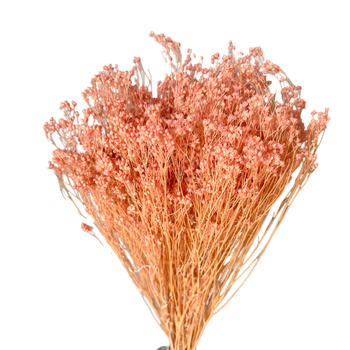 Broom Bloom light pink100g - broom - dried flowers