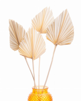 Dried bleached palm leaf - arrow