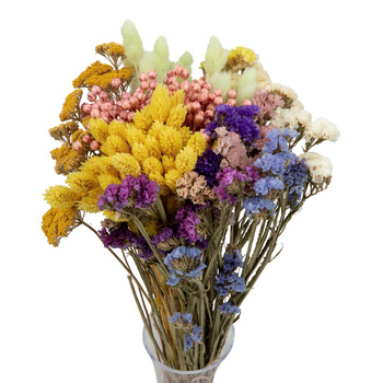 Set of dried flowers  Spring - statice, phalaris, achillea