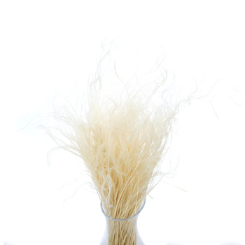 Stipa Pennata bleached 50 g- dried grasses