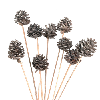 Dried pine cones frosted 5pcs. on stick - holiday decorations