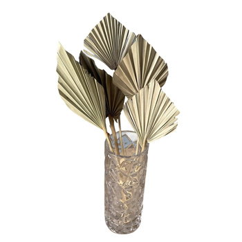 Dried palm leaf natural 5 pcs. - outlet