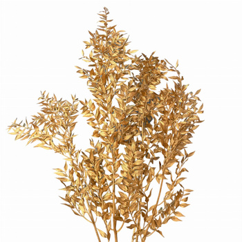 Dried golden ruscus 5 sprigs