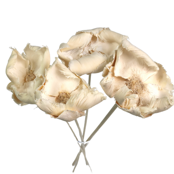 Bleached walnut flower