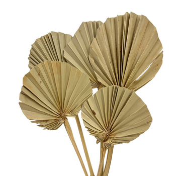 Dried palm leaf round