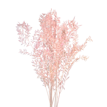 Dried light pink ruscus 5 sprigs