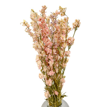 Dried rose holly (delphinium) - dried flowers