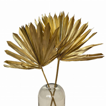 Dried palm leaf gold - palm sun