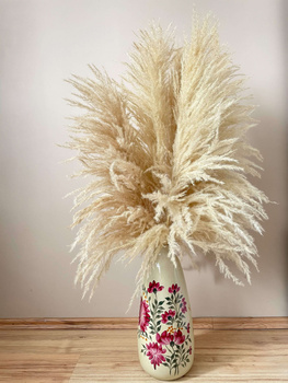 Pampas grass dried sacuaras bleached