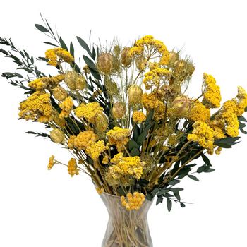 Set of dried flowers for Misty vase - achillea, eucalyptus, nigella