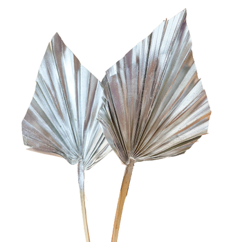 Suszony liść palmowy srebrny - strzałka