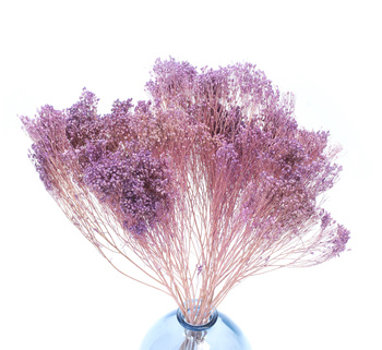 Broom Bloom light violet 100g - broom - dried flowers