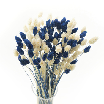 Set of dried grasses phalaris bleached & phalaris dark blue- bouquet